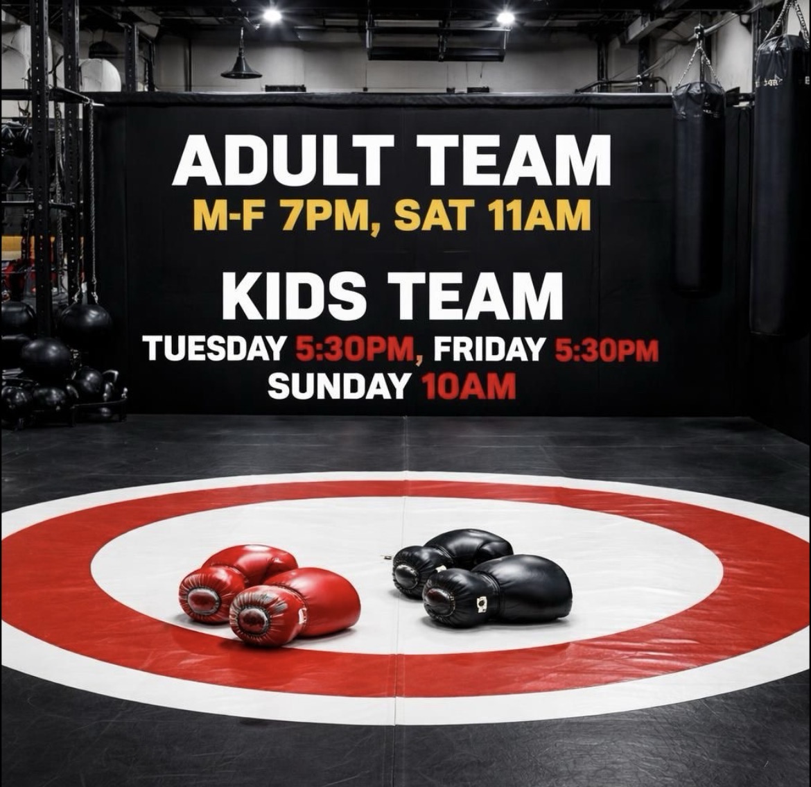 Team Training (Monthly Membership)
